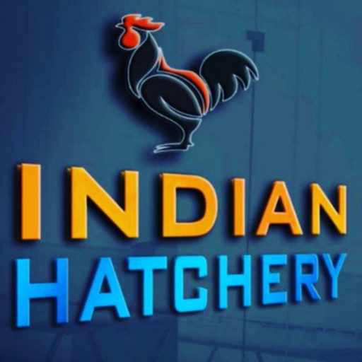 भारत के इन राज्यों में चूज़े भेजते है