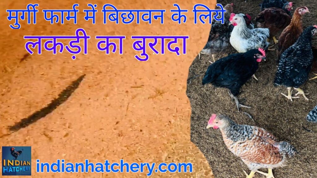 Murgi Farm ke bichhawan me kiya upyog kare