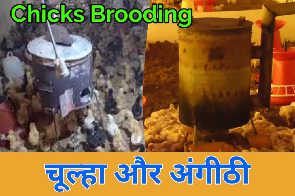 तेल वाला हीटर