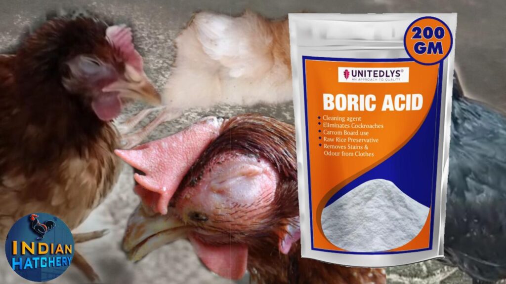 Boric Acid for hen