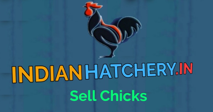 indian hatchery