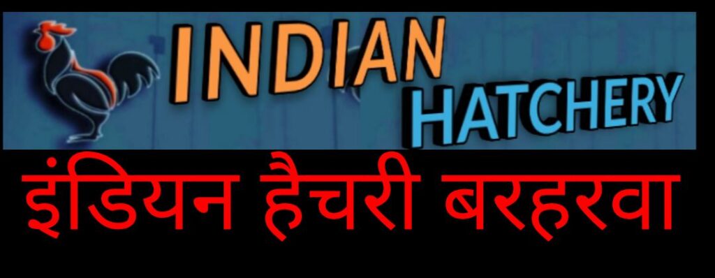 Indian hatchery Barharwa